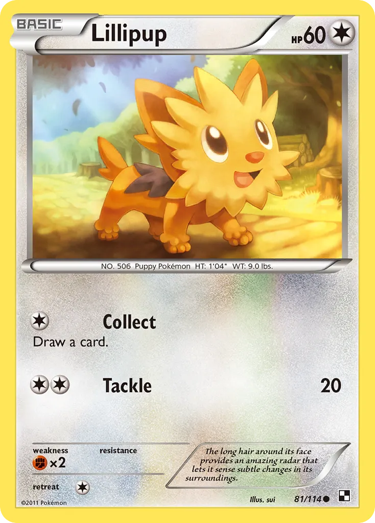 Lillipup #81, Black & White