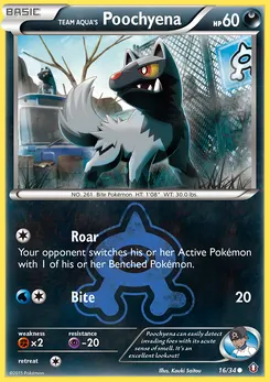 Team Aqua's Poochyena #16, Reverse Foil