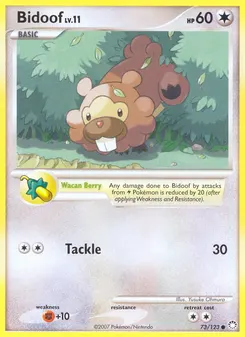 Bidoof #73, Mysterious Treasures