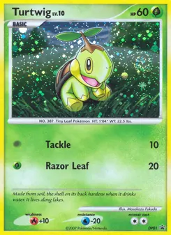 Turtwig #DP01, Standard