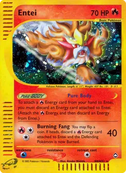 Entei #H8, Standard