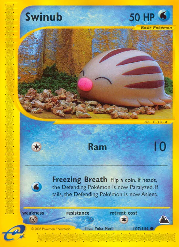 Swinub #107, Skyridge
