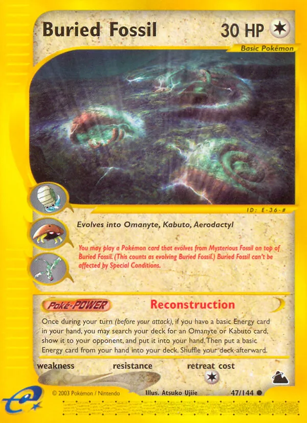 Buried Fossil #47, Skyridge