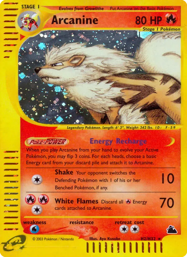 Arcanine #H2, Skyridge