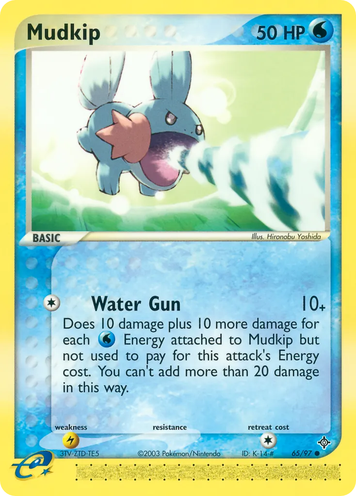 Mudkip #65, Dragon