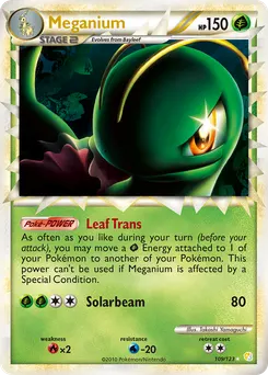 Meganium #109, Standard