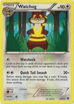 Watchog #096, Gym Challenge