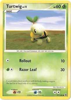 Turtwig #072, Beginner's Classroom DP