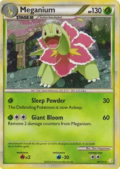 Meganium #001, Challenge Road