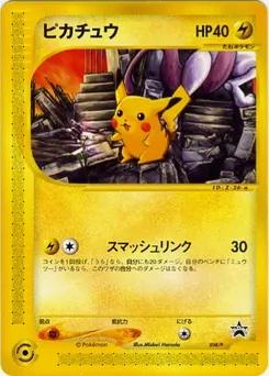 Pikachu #038, Pokemon Festa 2002