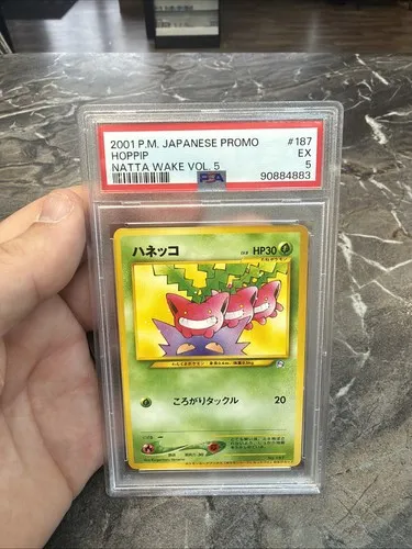 Hoppip #187, Japanese P Promos Natta Wake Vol. 5
