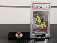 Bayleef, Standard