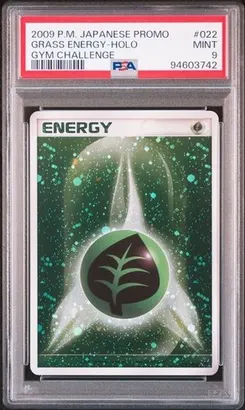 Grass Energy #022, Gym Challenge