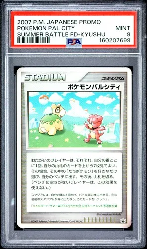 Pokemon Pal City, Japanese DP-P Promos Summer Battle Road-Chubu