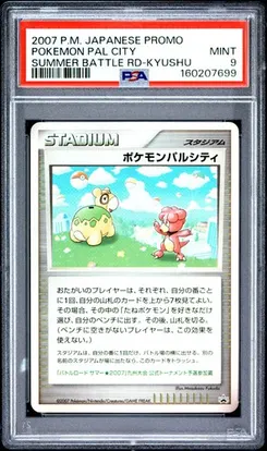 Pokemon Pal City, Summer Battle Road-Chubu