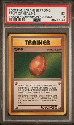 Fruit of Healing, Trainer-Champion Road 2000