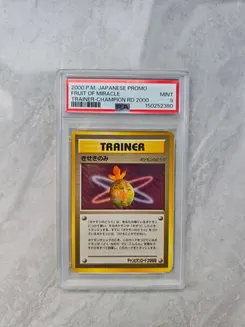 Fruit of Miracle, Trainer-Champion Road 2000