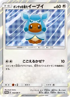 Poncho-wearing Eevee #143, Eevee Mega Campaign