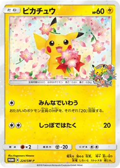 Pikachu #224, Pokemon Center 20th Anniversary Campaign