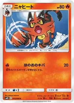 Torracat #313, Pokemon Card Gym