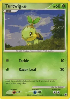 Turtwig #005, Meiji Chocolate