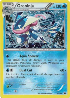 Greninja #209, Cracked Ice Holofoil
