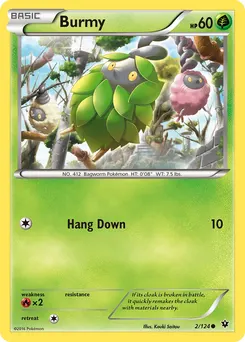 Burmy #236, Standard