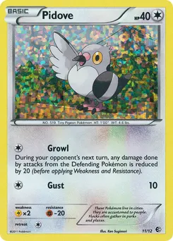 Pidove #11, Standard