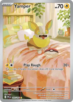 Yamper #99, Standard