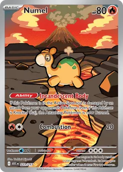 Numel #223, Standard