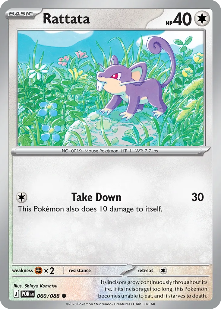 Rattata #60, Perfect Order