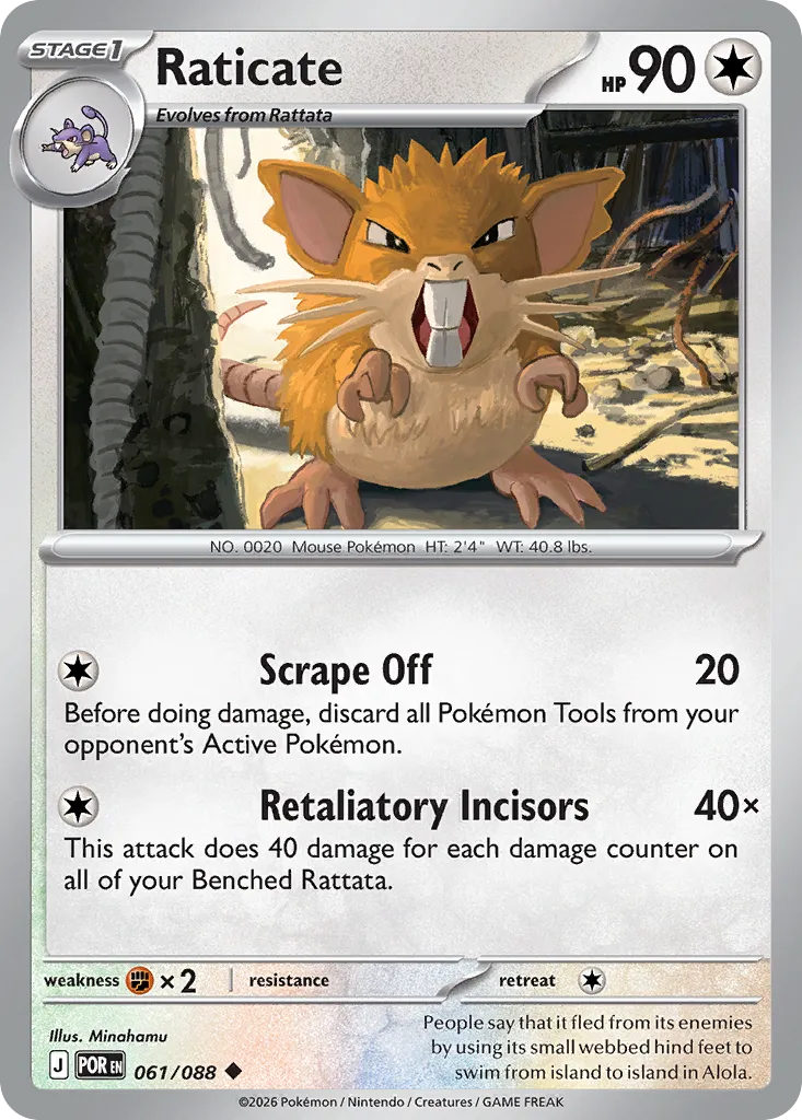 Raticate #61, Perfect Order