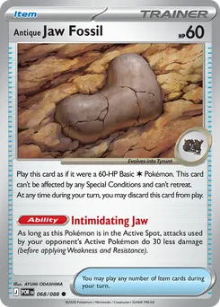 Antique Jaw Fossil #68, Reverse Holo
