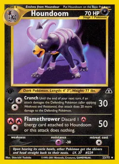 Houndoom #23, 1st Edition
