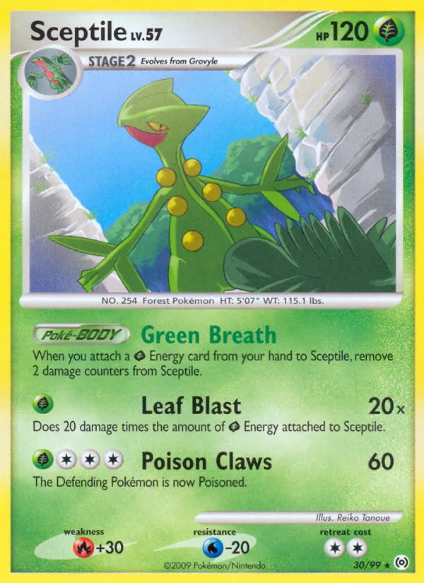 Sceptile #30, Arceus