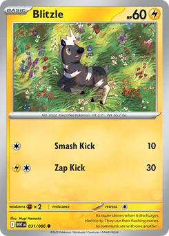 Blitzle #31, Master Reverse Holo
