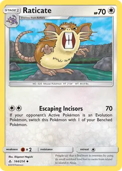 Raticate #144, Unbroken Bonds