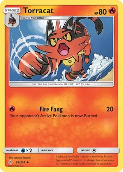 Torracat #28, Unbroken Bonds