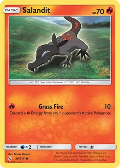 Salandit #30, Unbroken Bonds