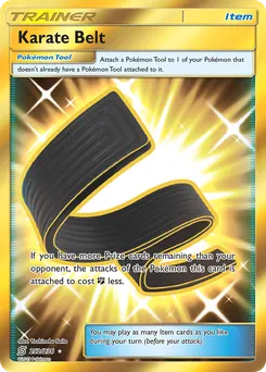 Karate Belt #252, Secret