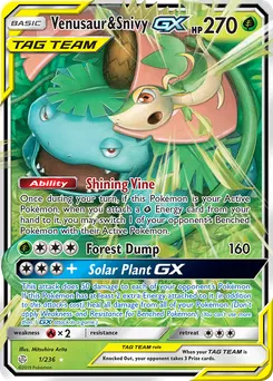 Venusaur & Snivy-GX #1, Standard