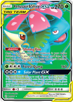 Venusaur & Snivy-GX #210, Standard