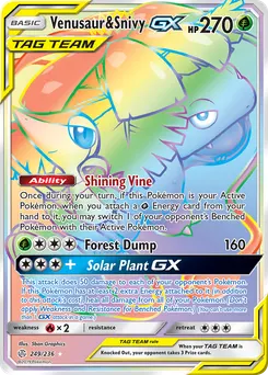 Venusaur & Snivy-GX #249, Secret
