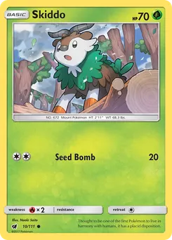Skiddo #10, Reverse Foil