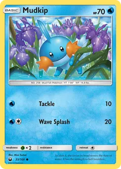 Mudkip #33, Reverse Foil