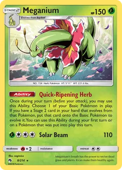 Meganium #8, Cosmos