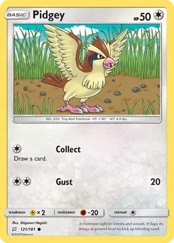 Pidgey #121, Team Up