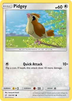 Pidgey #122, Team Up