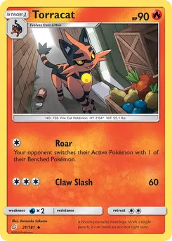 Torracat #21, Team Up
