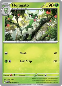 Floragato #14, Reverse Holo